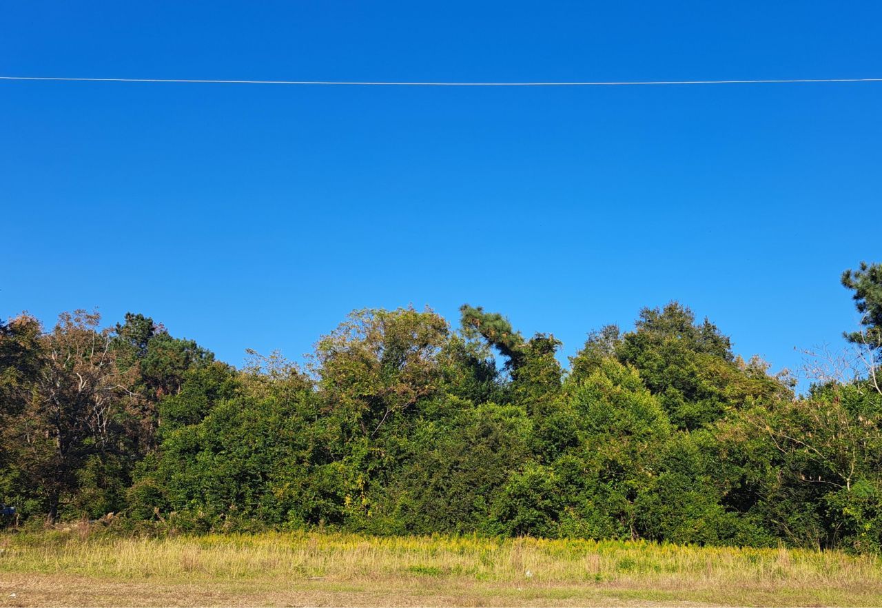 38-121 Hampton Street Photo 1