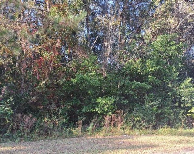 38-121 Hampton Street Photo 3