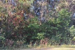 38-121 Hampton Street photo 4