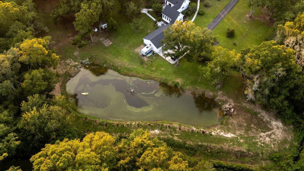 6949 Maybank Highway Photo 57