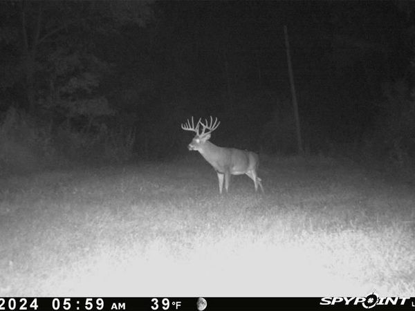 3040 Texaco Ln, Salem, IL 62881