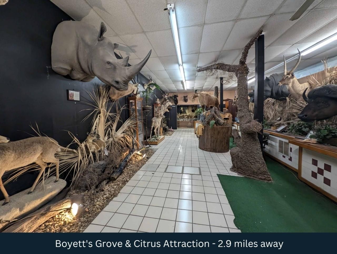 27360 Cortez Boulevard, Brooksville, FL 34602 Photo