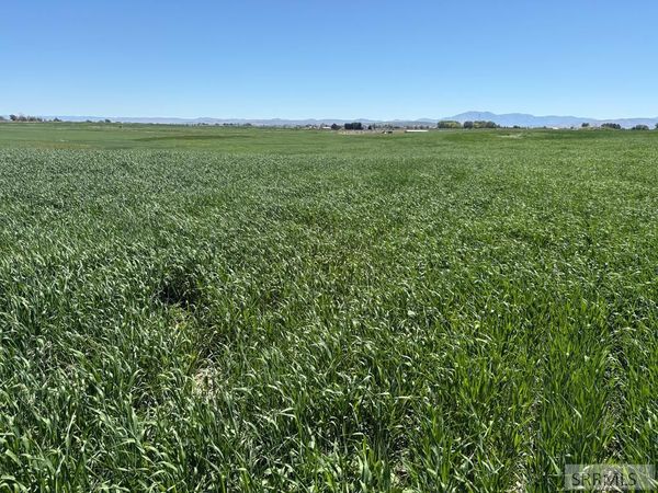1500 W 300 1500 W, PINGREE, ID 83262