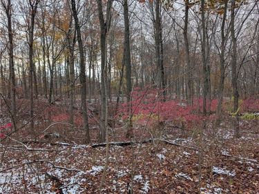 Greenwich Road, Lodi, OH 44254