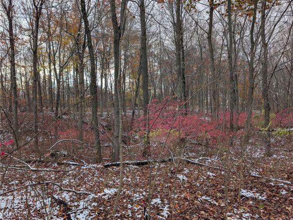 Greenwich Road, Lodi, OH 44254