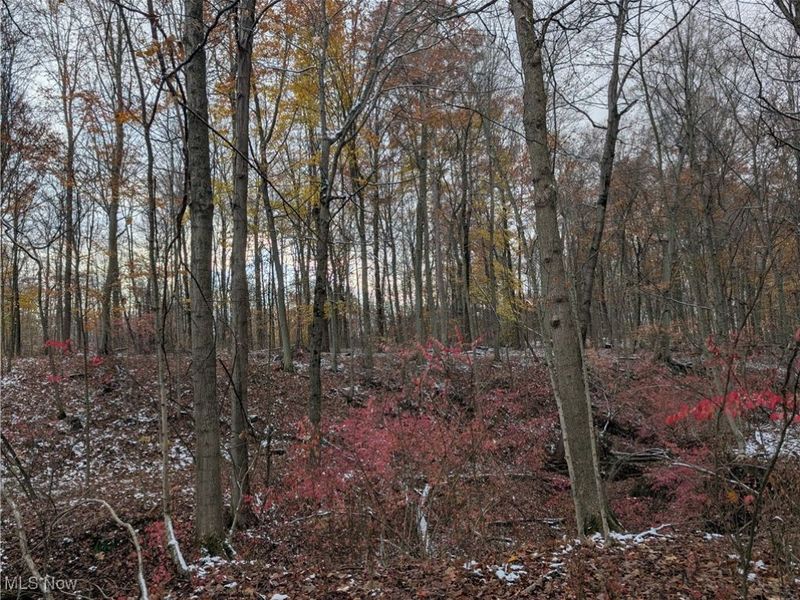 Greenwich Road, Lodi, OH 44254 Photo 2