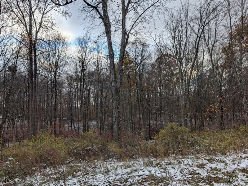 Greenwich Road, Lodi, OH 44254 Photo 3