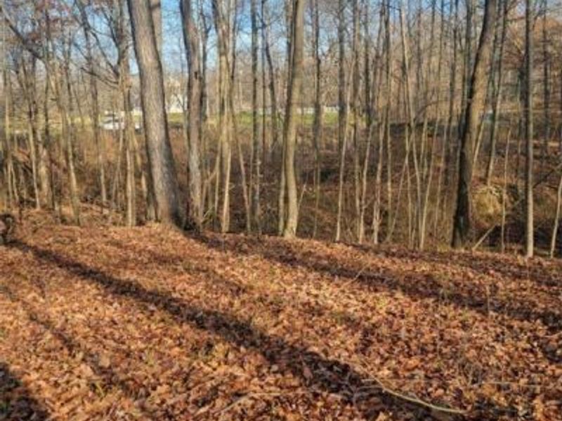 Greenwich Road, Lodi, OH 44254 Photo 5