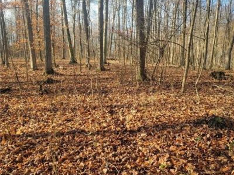 Greenwich Road, Lodi, OH 44254 Photo 6