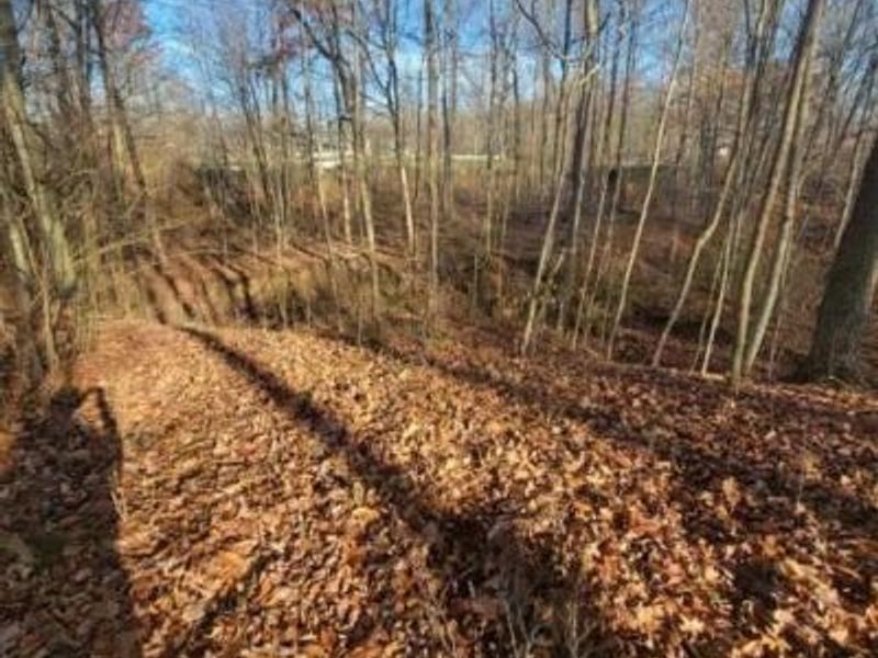 Greenwich Road, Lodi, OH 44254 Photo 7