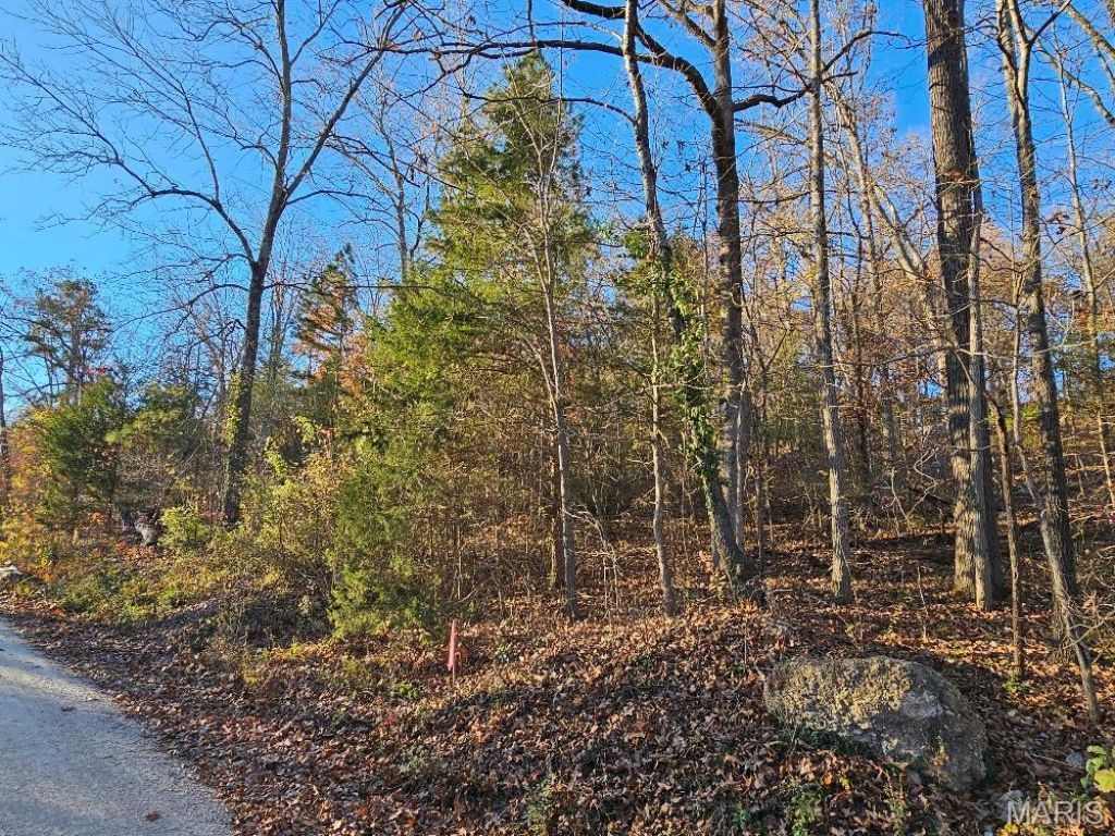 Lot 5 Blk 1 Carter 133, Van Buren, MO 63965 Main Photo