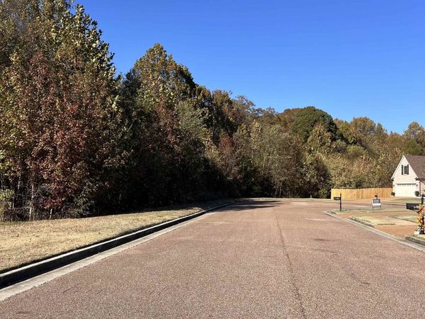 RED VINTAGE CV, Unincorporated, TN 38016