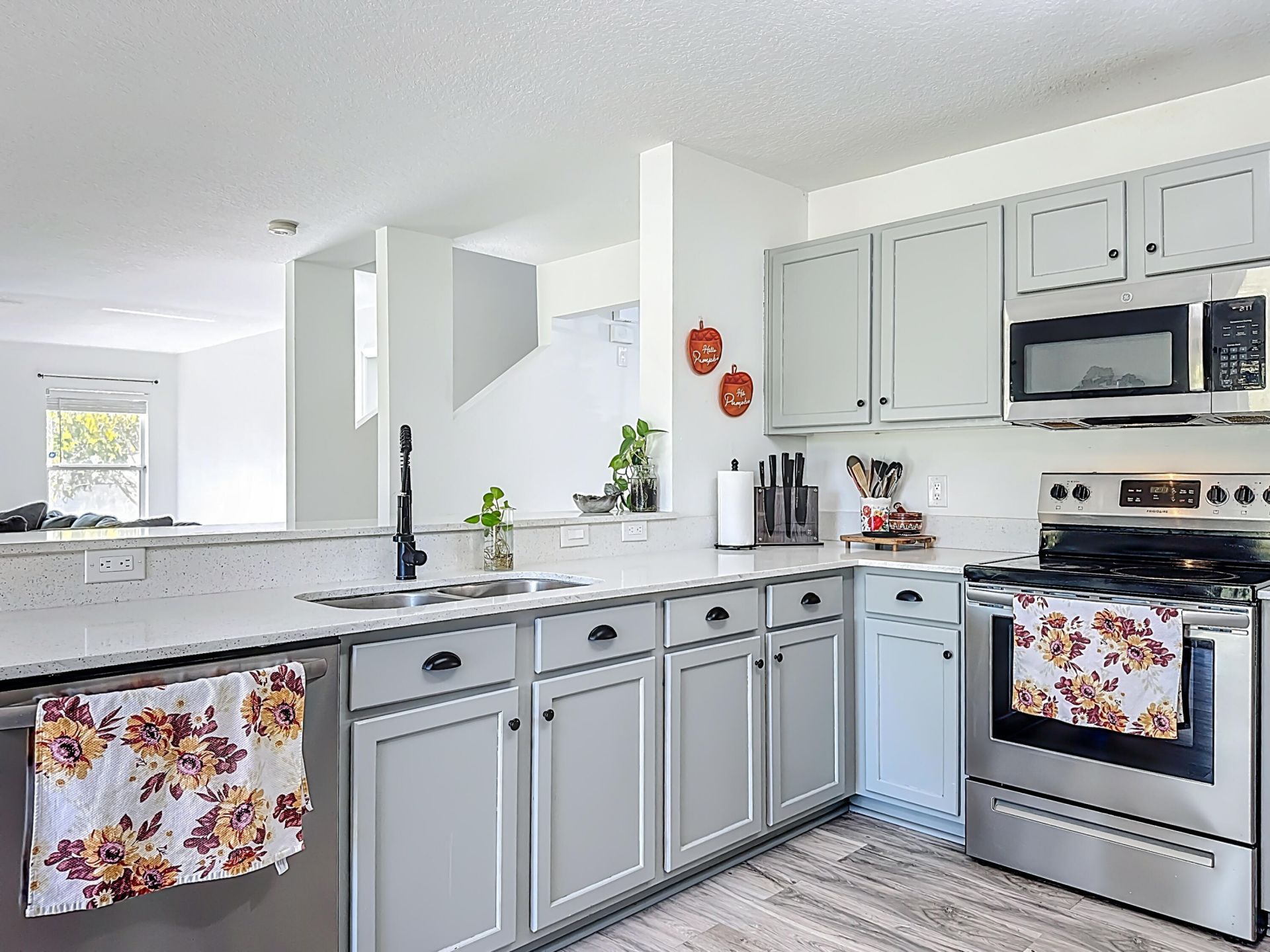 13841 Chihuly Court, Orlando, FL 32824 Photo