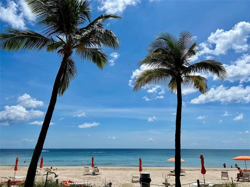 3800 Galt Ocean Drive, Unit 803, Fort Lauderdale, FL 33308 Photo