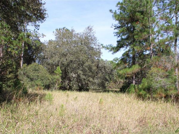 DUBOISE DRIVE, CLERMONT, FL 34711