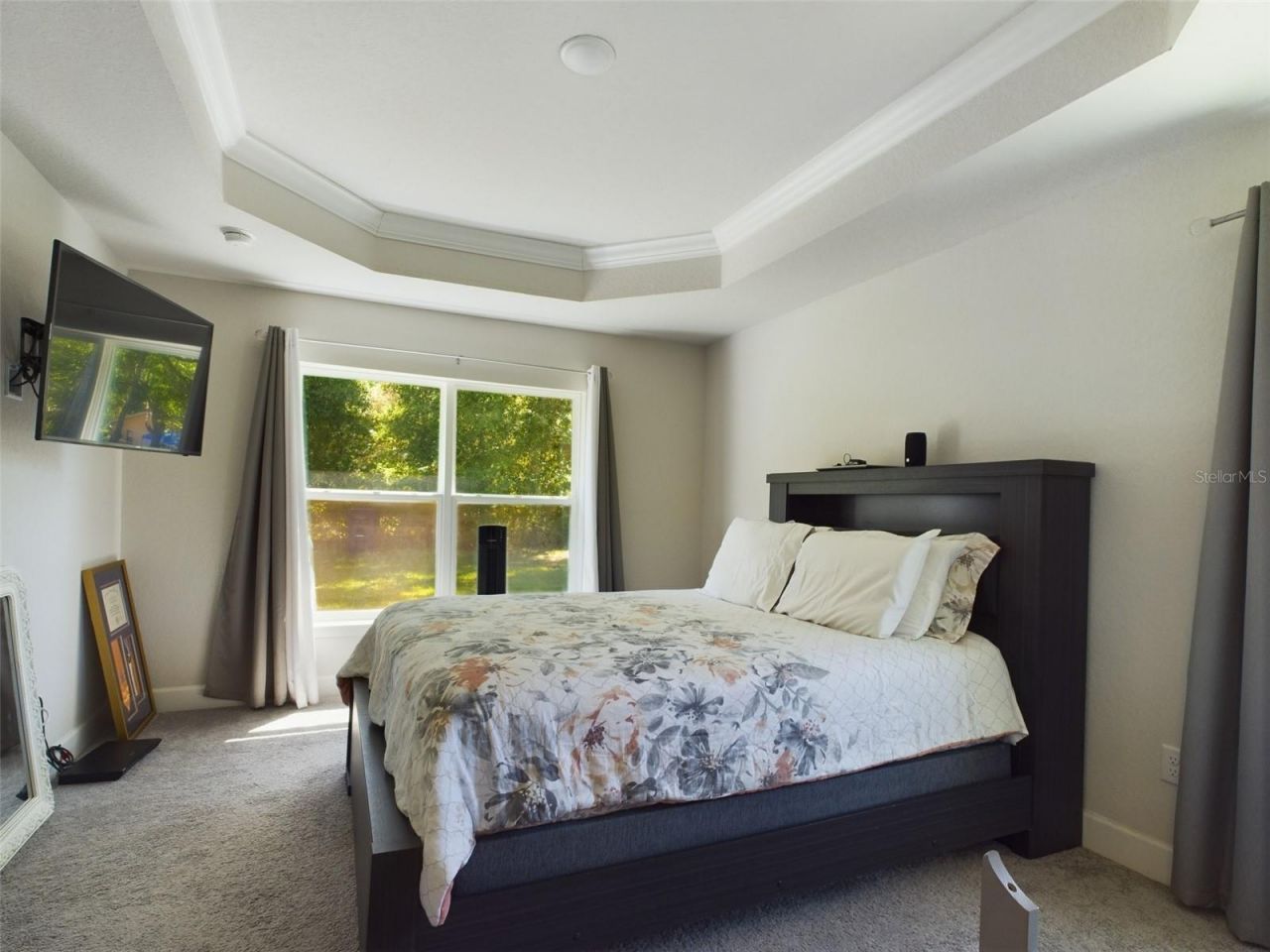 3962 NE 58th Circle, Silver Springs, FL 34488 Photo