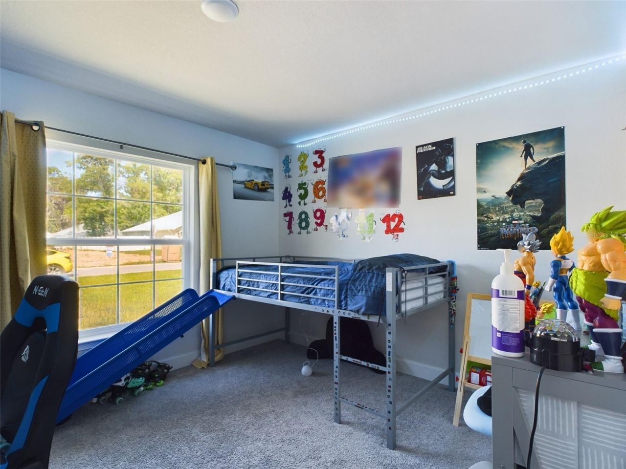 3962 NE 58th Circle, Silver Springs, FL 34488 Photo