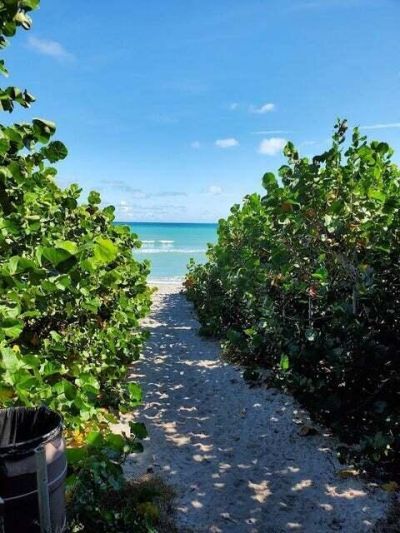 1605 S Us Highway 1, Unit F203, Jupiter, FL 33477 Photo