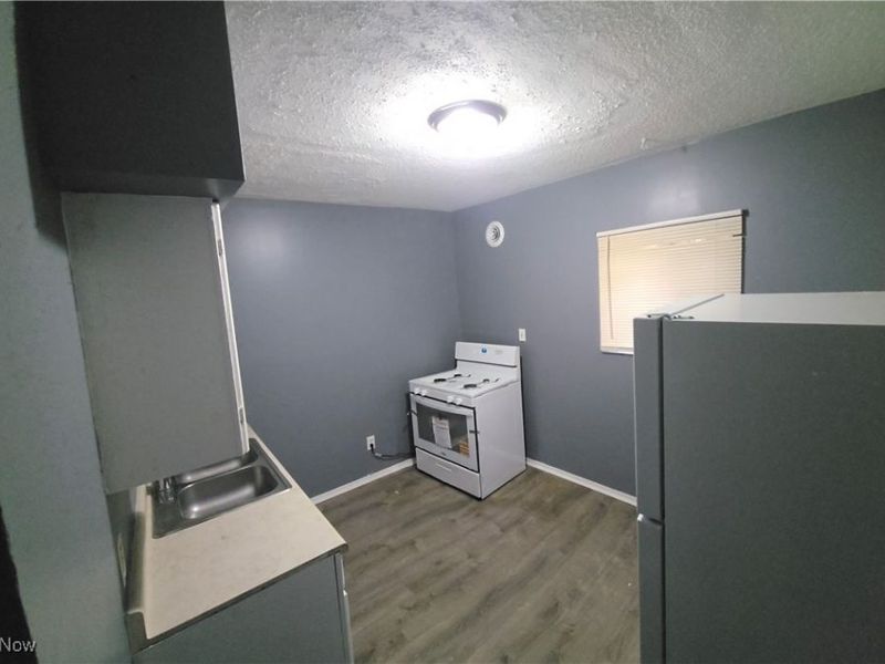 965 E 147th Street, Cleveland, OH 44110 Photo 11