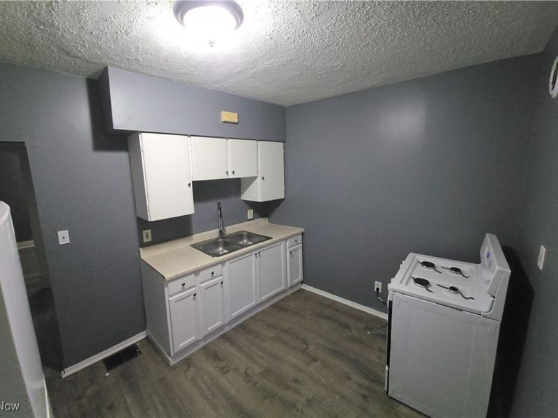 965 E 147th Street, Cleveland, OH 44110 Photo 12