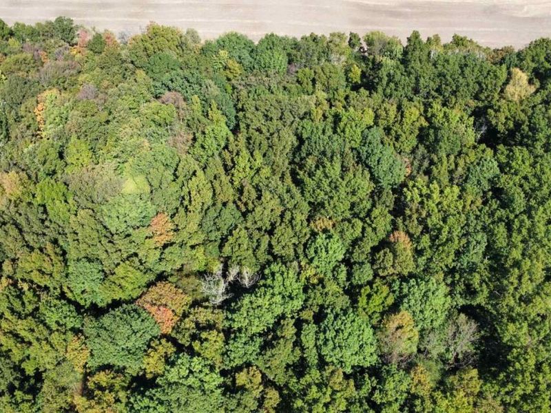 1750 Murray Road, New London, OH 44851 Photo 30