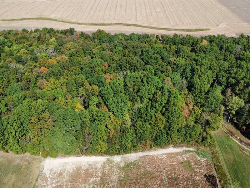 1750 Murray Road, New London, OH 44851 Photo 31