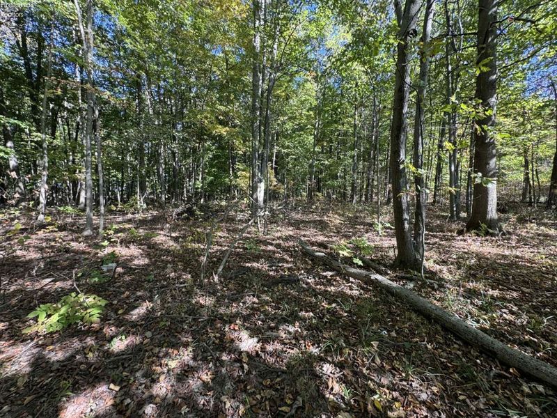 1750 Murray Road, New London, OH 44851 Photo 33