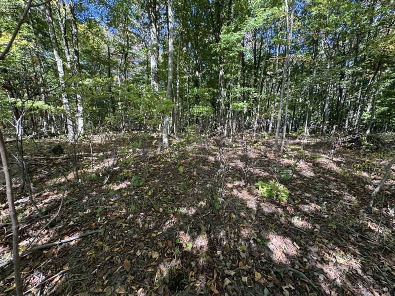 1750 Murray Road, New London, OH 44851 Photo 34