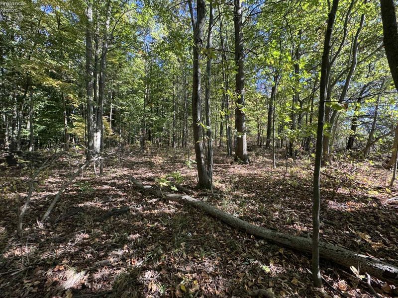 1750 Murray Road, New London, OH 44851 Photo 35