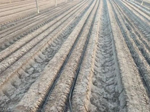 6150 Pringle LN, IMMOKALEE, FL 34142