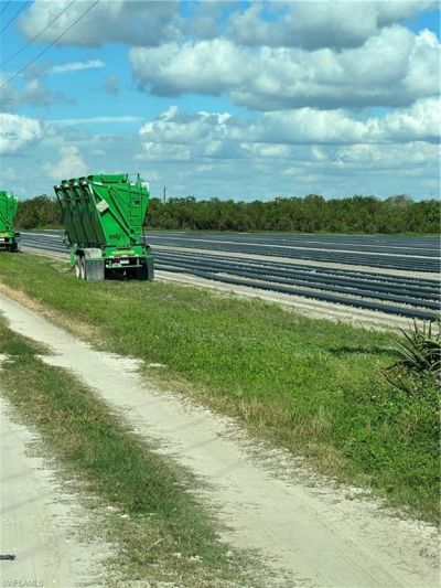6150 Pringle Ln, Immokalee, FL 34142 Photo