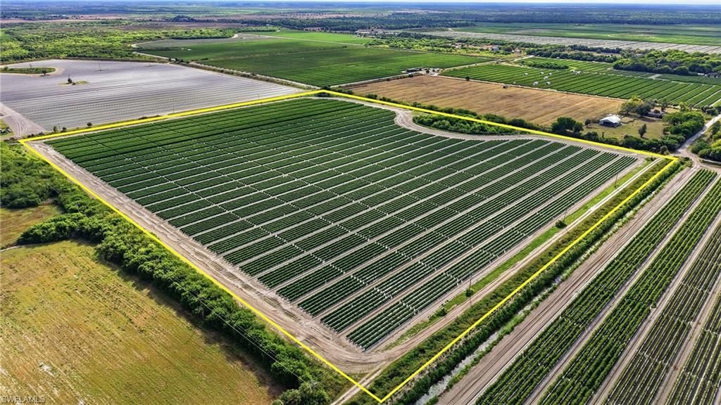 6150 Pringle Ln, Immokalee, FL 34142 Photo