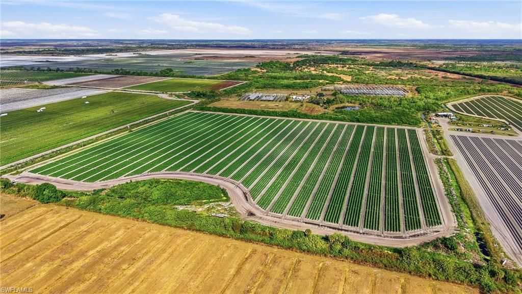 6150 Pringle Ln, Immokalee, FL 34142 Photo