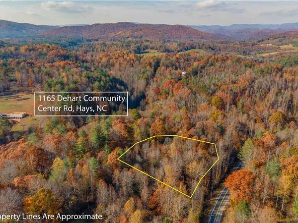 1165 Dehart Community Ctr Road, Hays, NC 28635