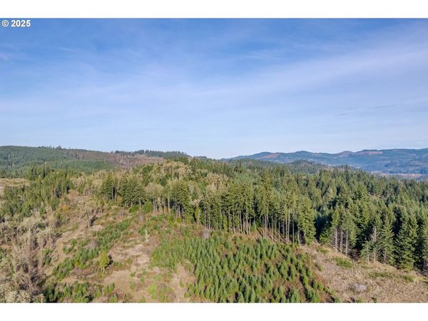 Holly - Lot 2, Cottage Grove, OR 97424