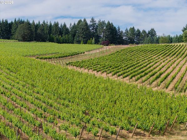 25219 HIGH PASS RD, Junction City, OR 97448