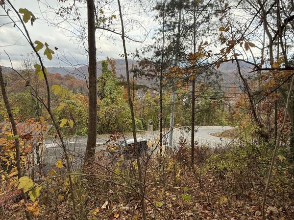 278 Greystone Heights Road, Gatlinburg, TN 37738