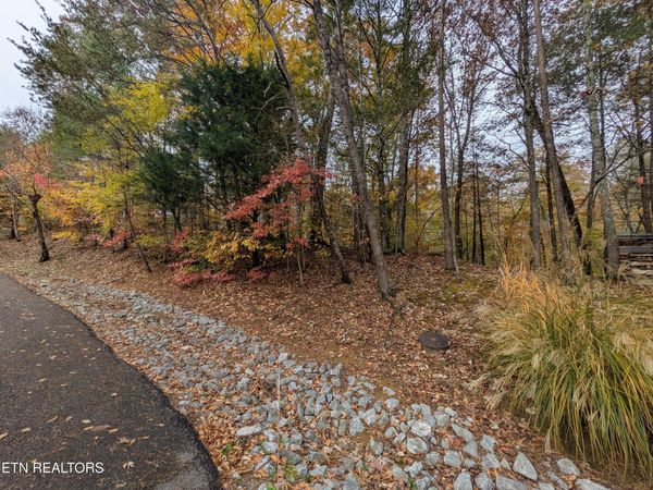 517 Clearwater Circle, Townsend, TN 37882