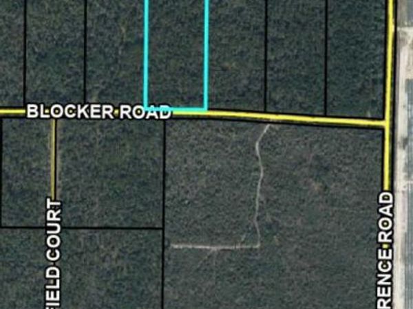 00 Blocker Road, Greenwood, FL 32443