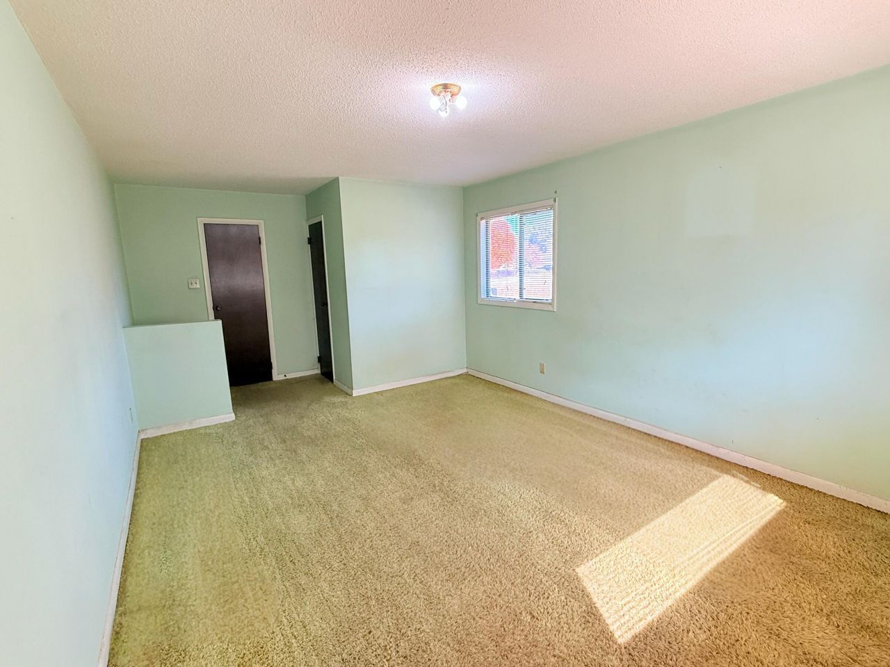 675 Alexander Drive Photo 14