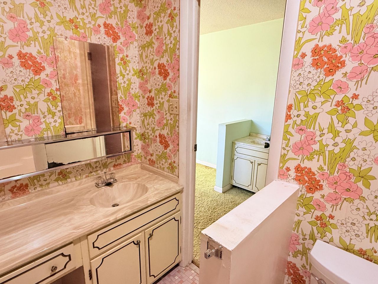 675 Alexander Drive Photo 18