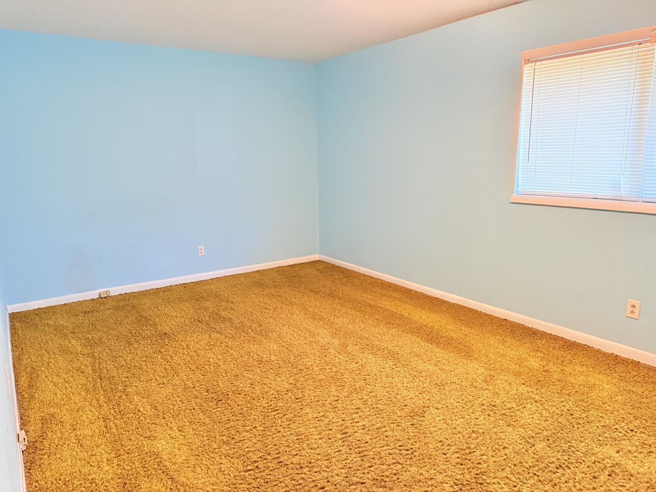 675 Alexander Drive Photo 19