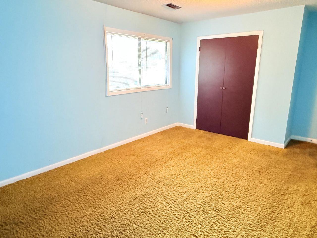 675 Alexander Drive Photo 20