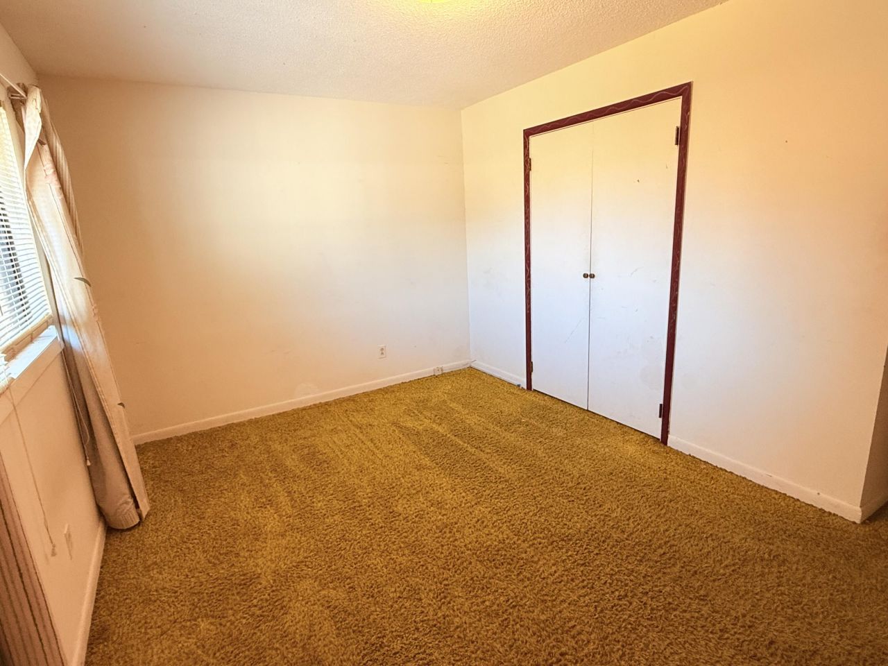 675 Alexander Drive Photo 24