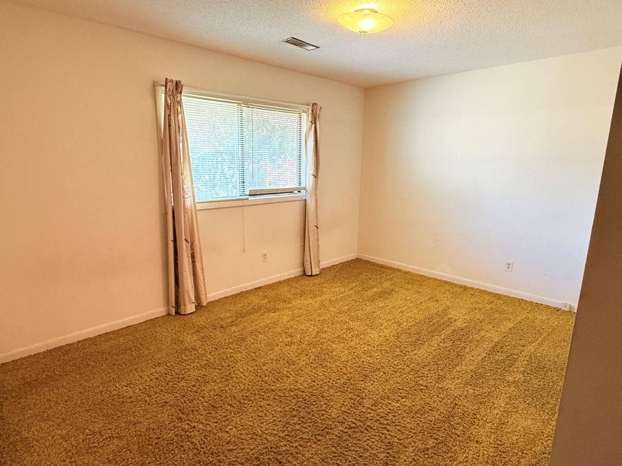 675 Alexander Drive Photo 27