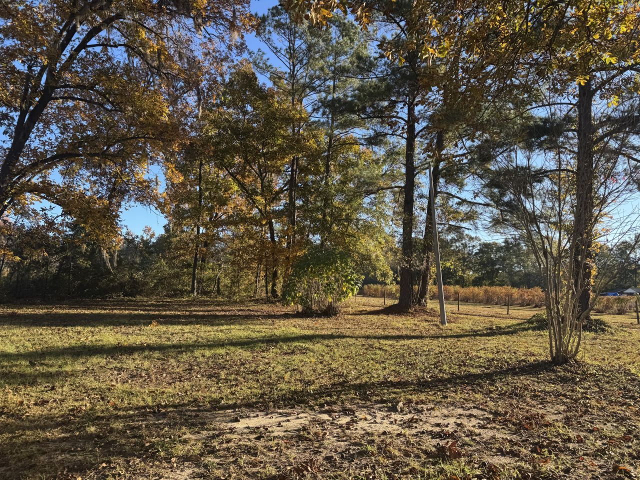 201 Creek Road Photo 10