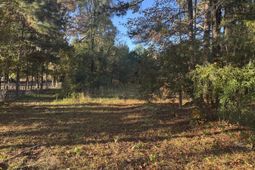 201 Creek Road photo 4