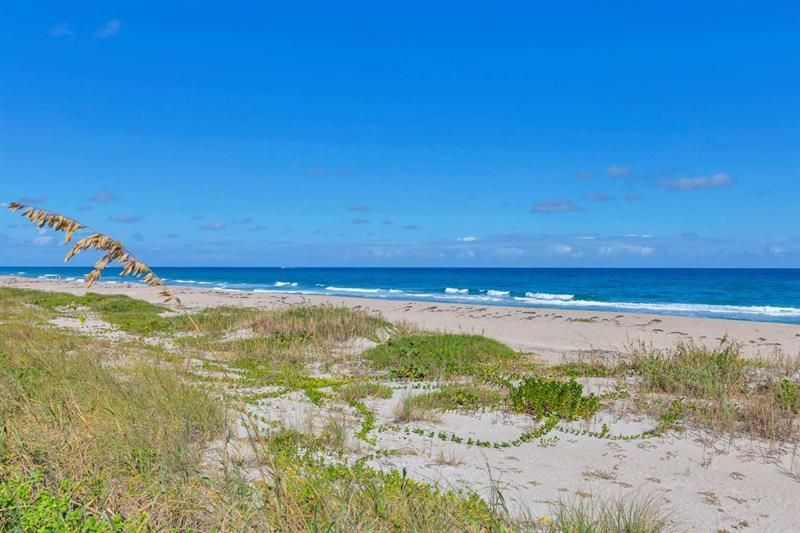 2600 S Ocean Blvd, Unit 306S, Palm Beach, FL 33480 Photo