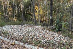 0 Weeping Cherry Lane photo 4