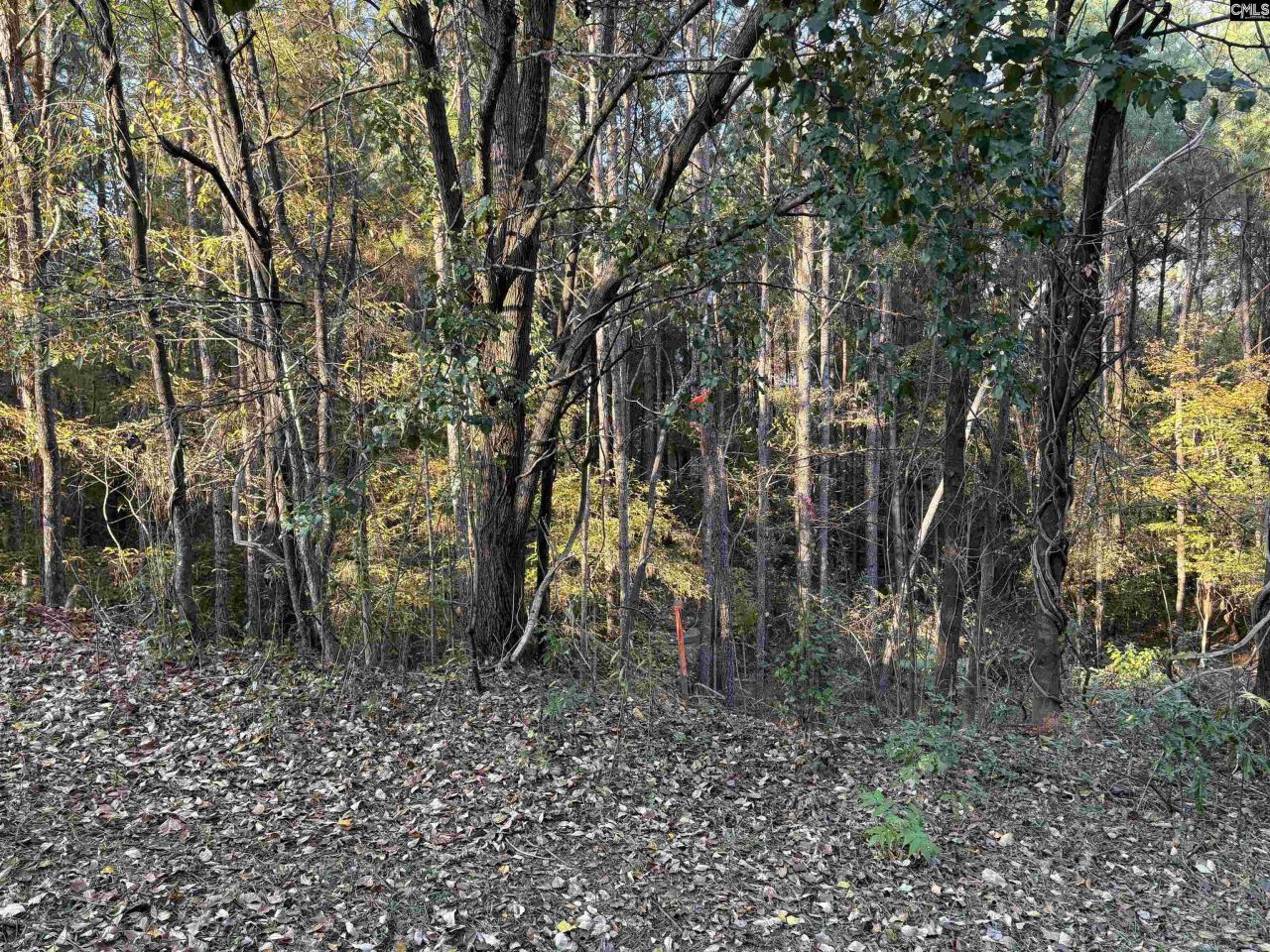 0 Weeping Cherry Lane Photo 4